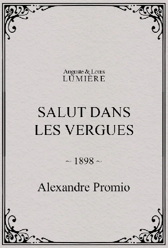 Salut dans les vergues
