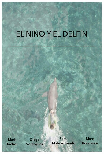 El Niño y El Delfín