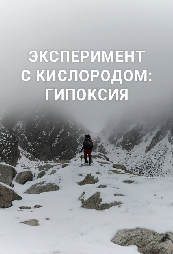 Эксперимент с кислородом: гипоксия