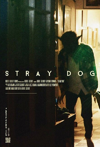 Stray Dog