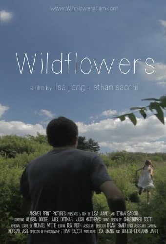 Wildflowers