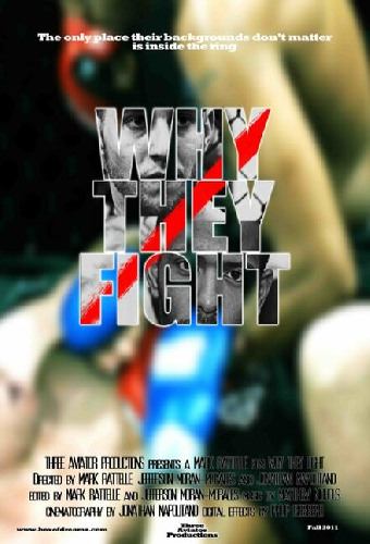 Why They Fight