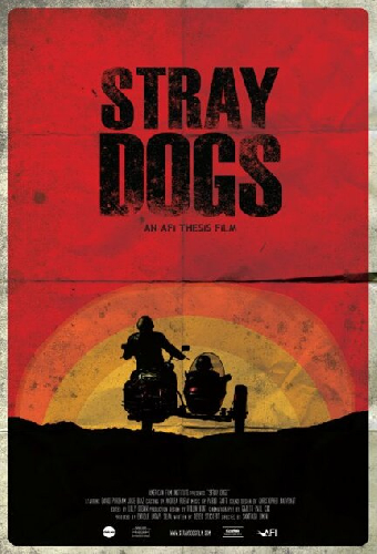 Stray Dogs