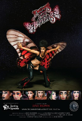Dreams of the Last Butterflies