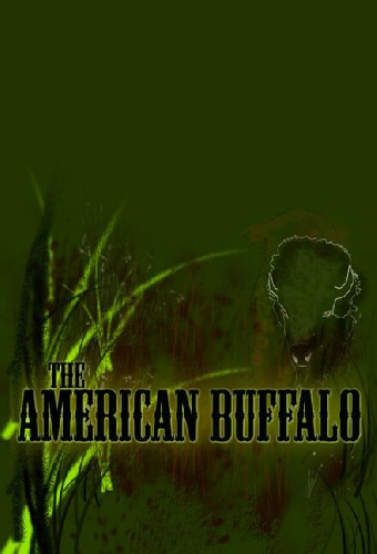 The American Buffalo