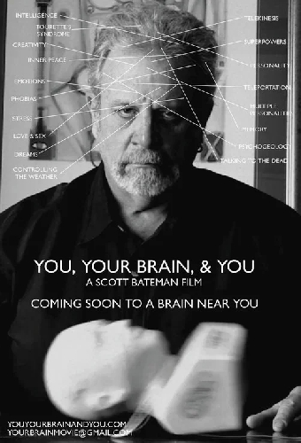 You, Your Brain, & You