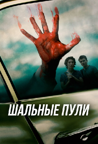 Шальные пули