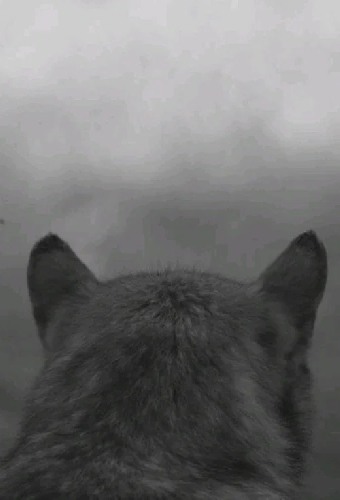 From the Mountain