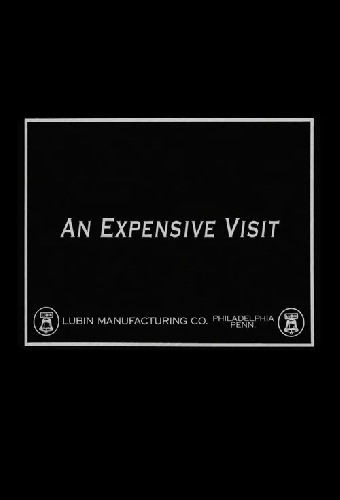 An Expensive Visit