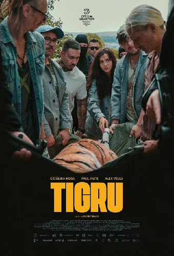 Tigru