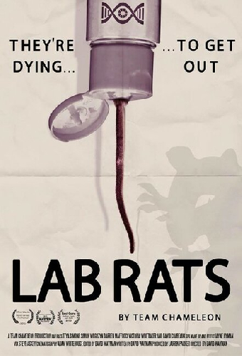 Lab Rats