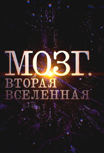 Мозг. Вторая Вселенная