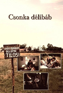 Csonka délibáb