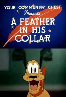 A Feather in His Collar