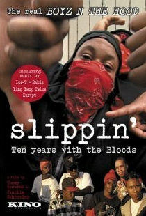 Slippin': Ten Years with the Bloods