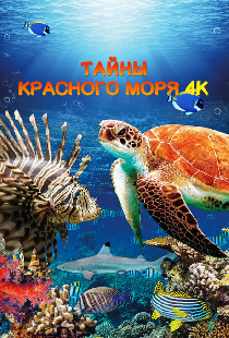 Тайны Красного моря