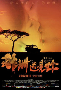 非洲遇见你