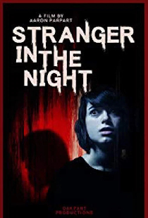 Stranger in the Night