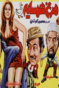 مرغ همسایه