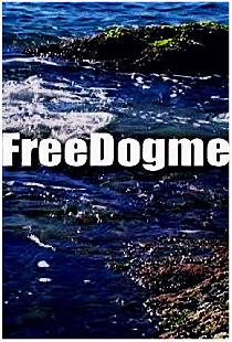FreeDogme