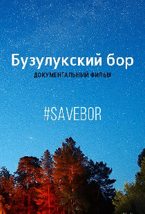 Бузулукский бор
