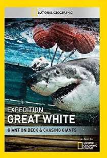 Shark Men