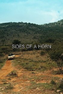Sides of a Horn
