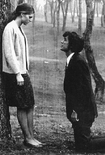 Bolero de amor