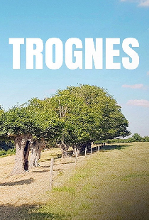 Trognes, les arbres aux mille visages