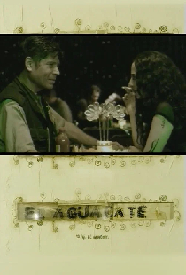 El aguacate