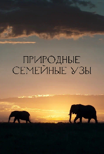 Природные семейные узы