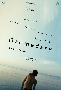 Dromedar