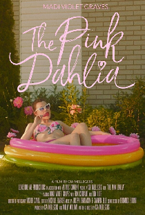 The Pink Dahlia