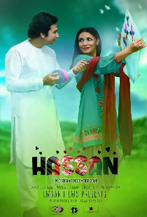 حسن (فیلمی از افغانستان)