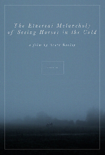 The Ethereal Melancholy of Seeing Horses in the Cold