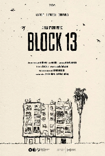 Block 13
