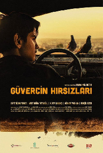 Güvercin Hırsızları