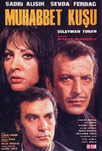 Muhabbet Kuşu