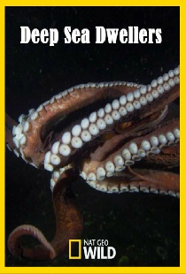 Deep Sea Dwellers