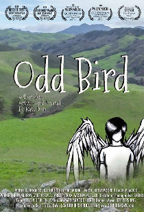 Odd Bird