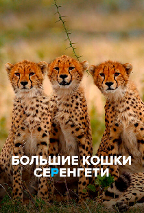 Большие кошки Серенгети