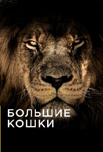Большие кошки