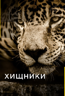 Хищники