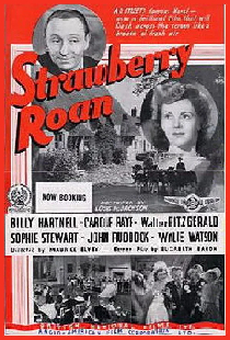 Strawberry Roan