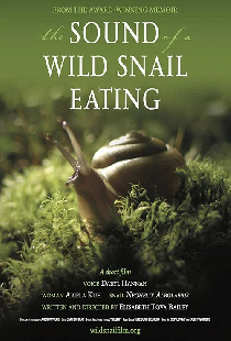 The Sound of a Wild Snail Eating