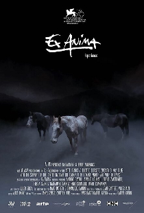 Ex Anima Experience