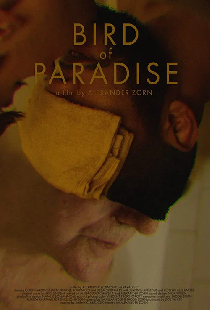 Bird of Paradise