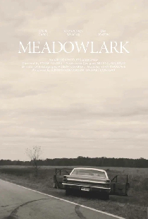 Meadowlark
