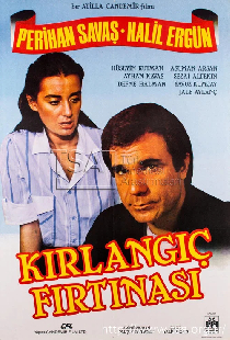 Kırlangıç Fırtınası