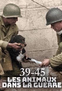 39-45, les animaux dans la guerre